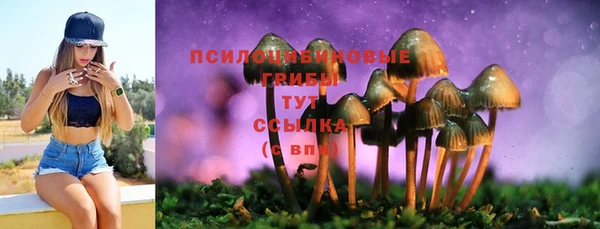 амфетамин Гусь-Хрустальный