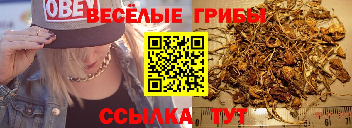 Калач-на-Дону  Псилоцибиновые грибы Psilocybe  Галлюциногенные грибы GOLDEN TEACHER  Вход с VPN 